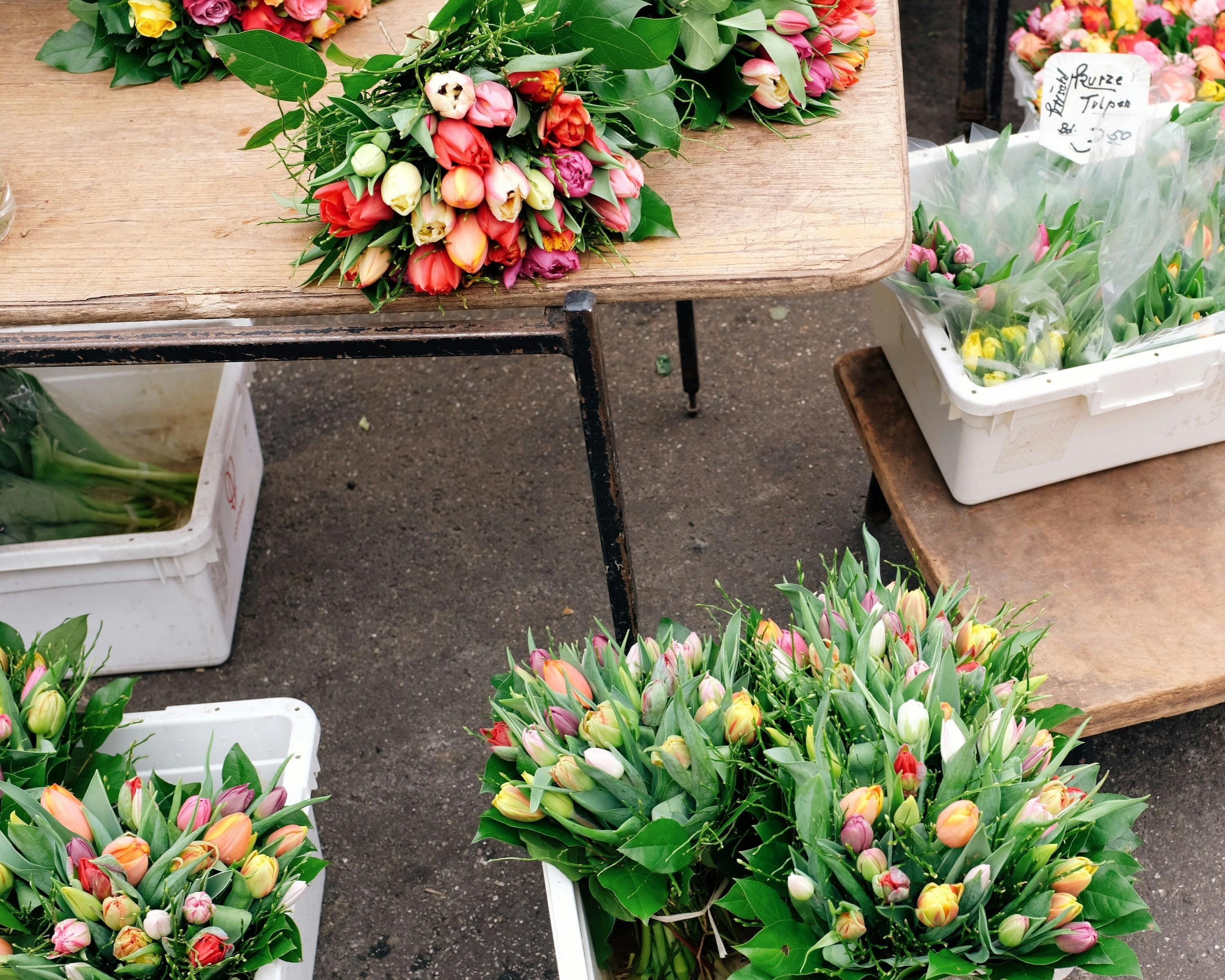 Bulk Tulips - ready made, Pexels