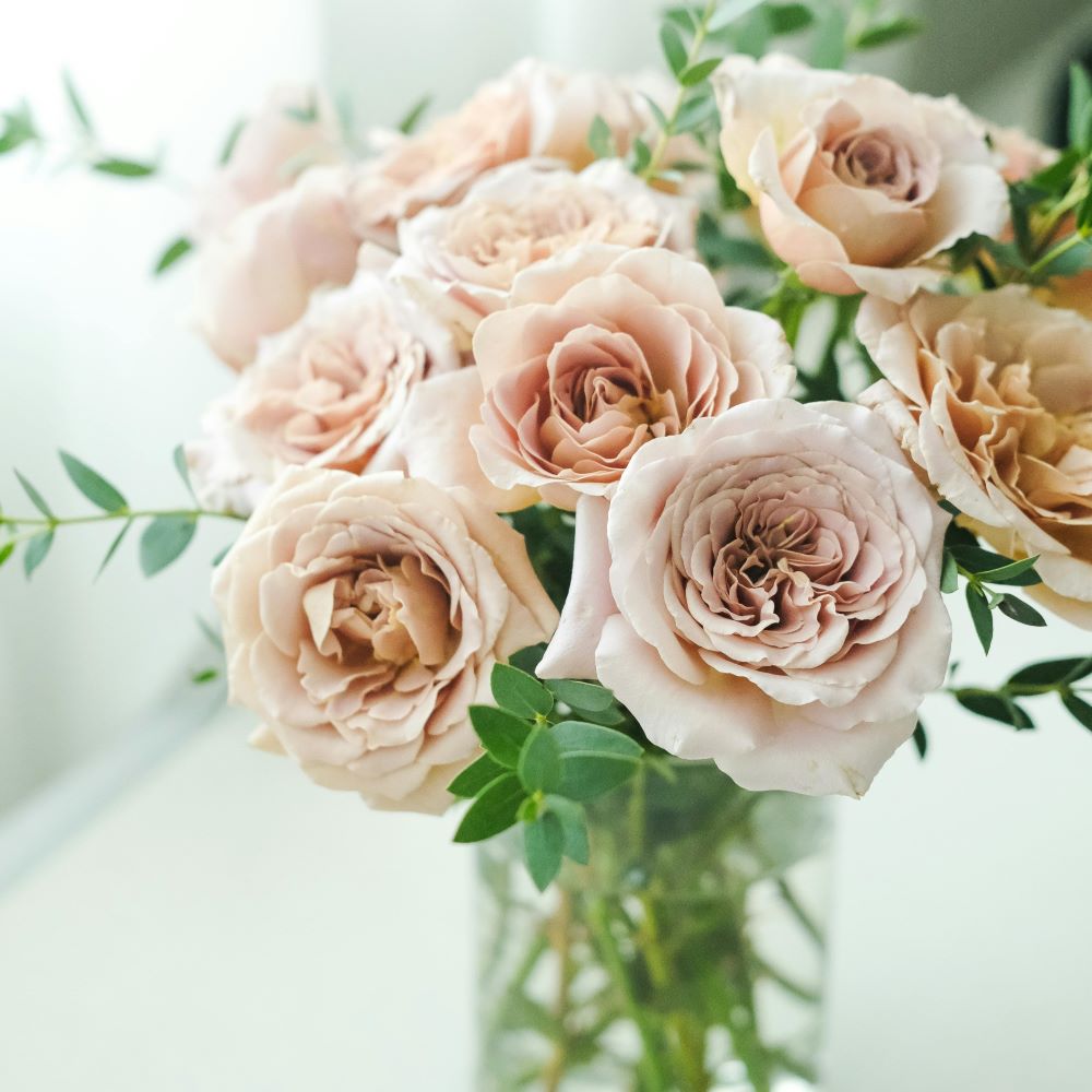 Blush Roses Anniversary Arrangement - Nganduong, Pexels