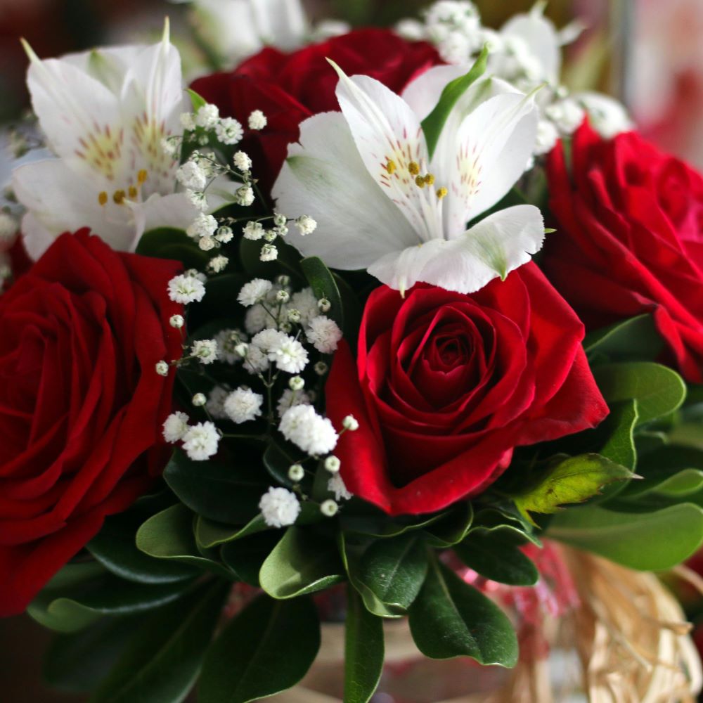 Blush Roses Arrangement - Nganduong, Pexels