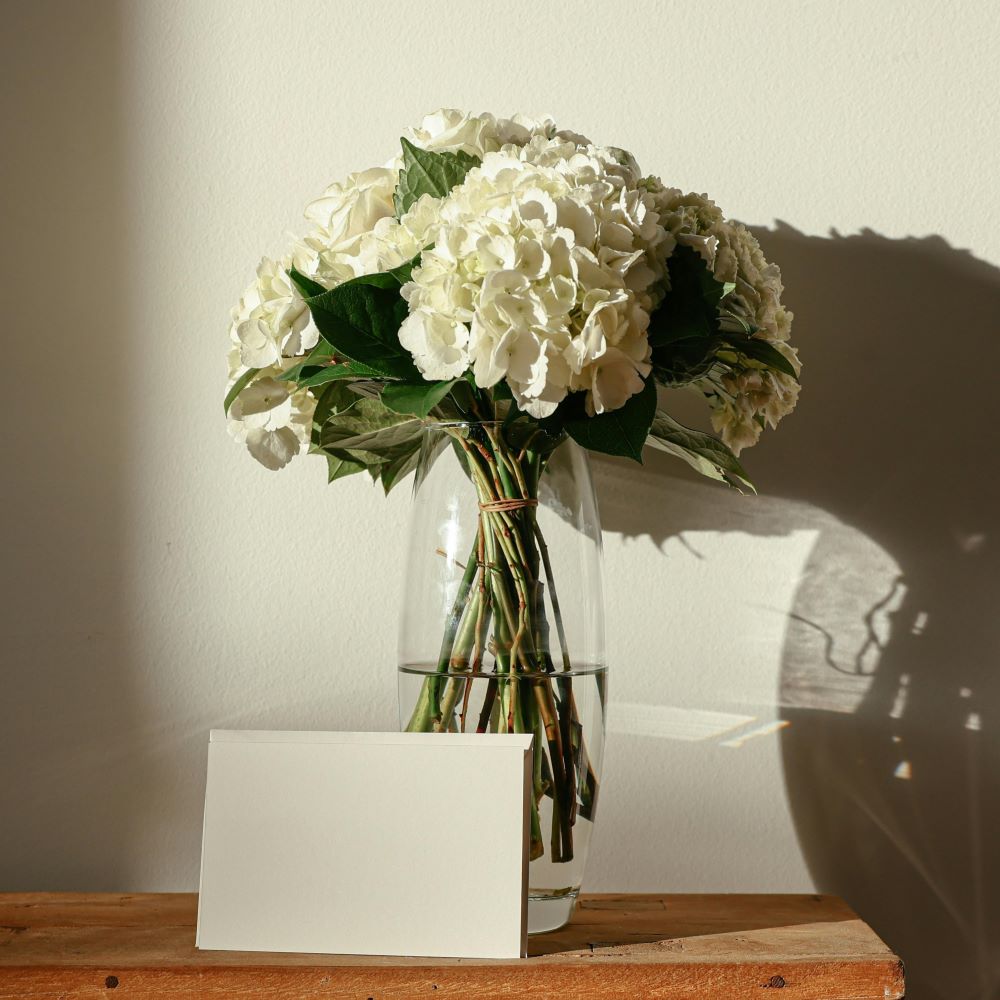 White Hydrangea Arrangement - Cup of Couple, Pexels