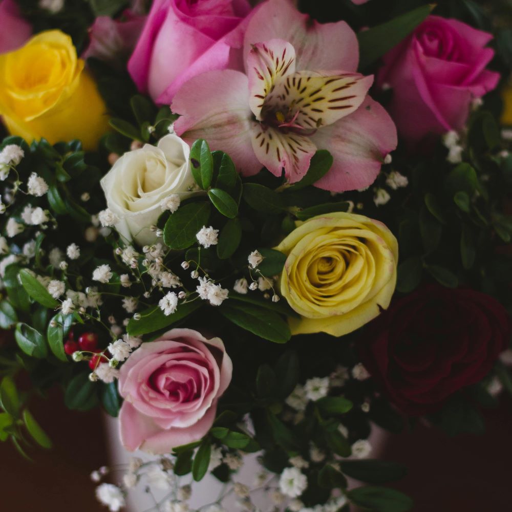 Get Well Soon Arrangement - Valeriya, Pexels
