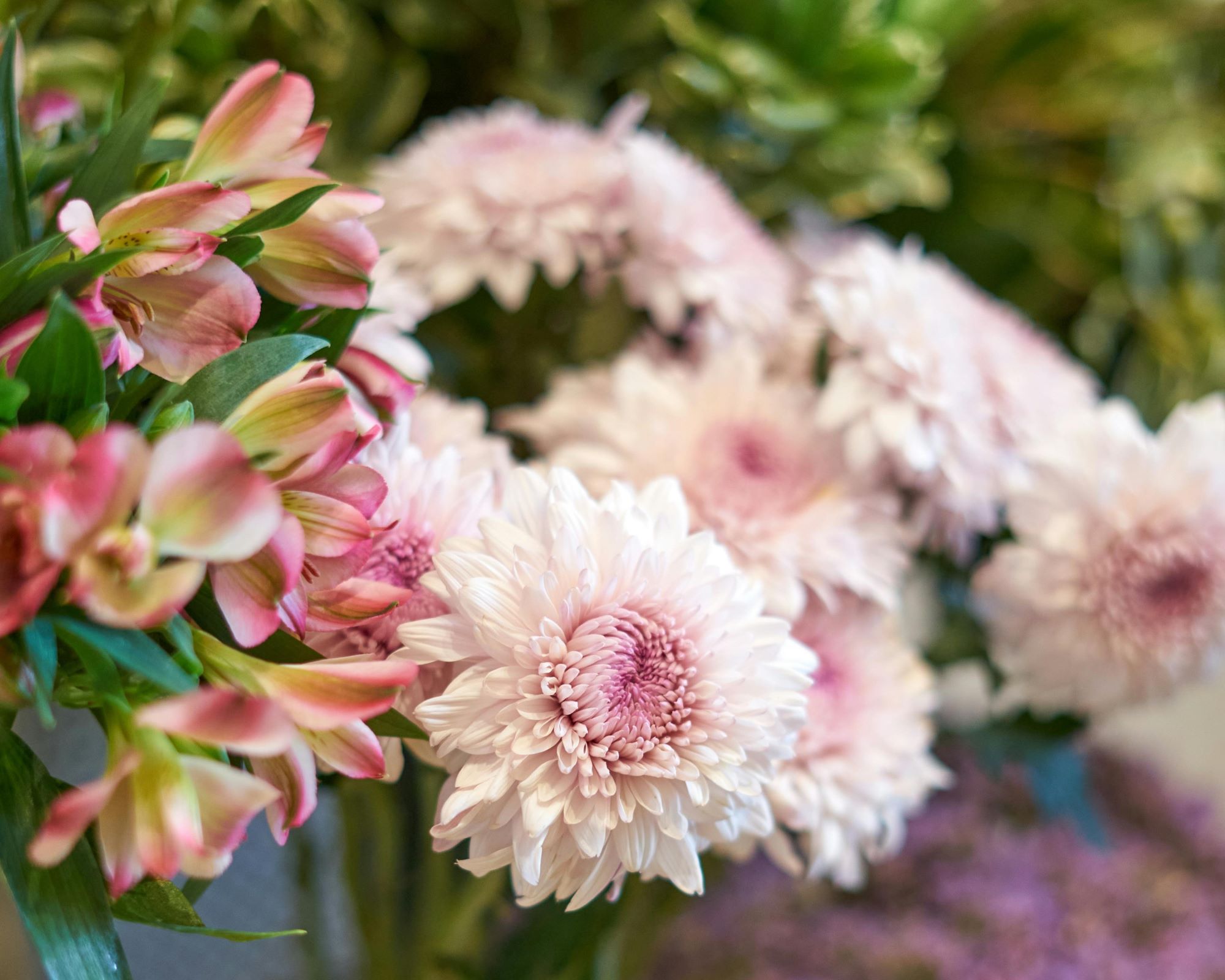 Flowers in vases - Nacho Posse, Pexels